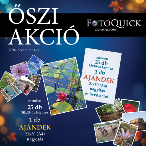 FQ-Facebook-2026-osziakcio